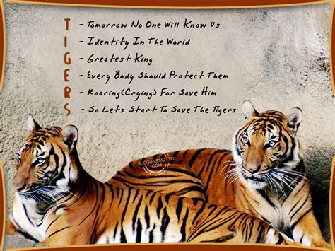 Design A Poster On The Theme Save The Tiger You May Focus On The Need