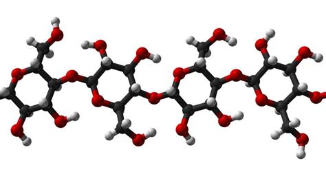 This provides an easily retrievable source of vitamin a and regulates its availability for other pathways. What Are Some Examples of Polysaccharides? | Reference.com