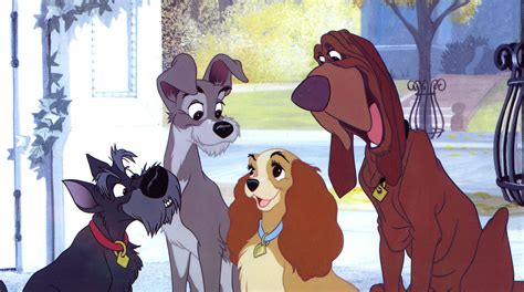 Lady And The Tramp Gallery Disney Movies