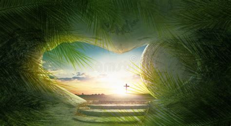 Palm Sunday Concept Green Palm Tree Leaves On Cross Sunset Background