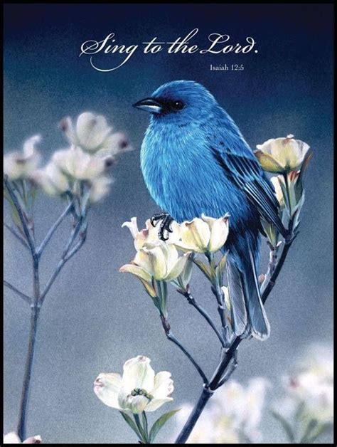 Beautiful Blue Bird Sing To The Lord Isaiah 12 Beautiful Birds