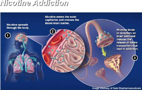Nicvax For Nicotine Addiction Clinical Trials Arena