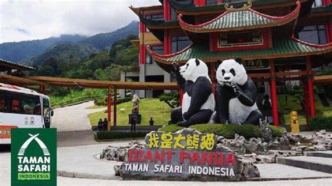 Apalagi lego bisa dimainkan anak bersama orangtua, bisa menjadi bonding time yang berkualitas bagi keluarga. 5 Fakta Unik Taman Safari Indonesia, Punya Istana Panda yang Mirip Habitat Asli Panda di China ...