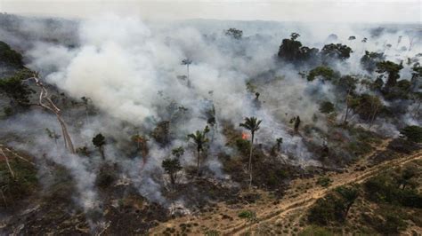 The Amazon Is Burning 4 Things That Explain Why Its A Man Made