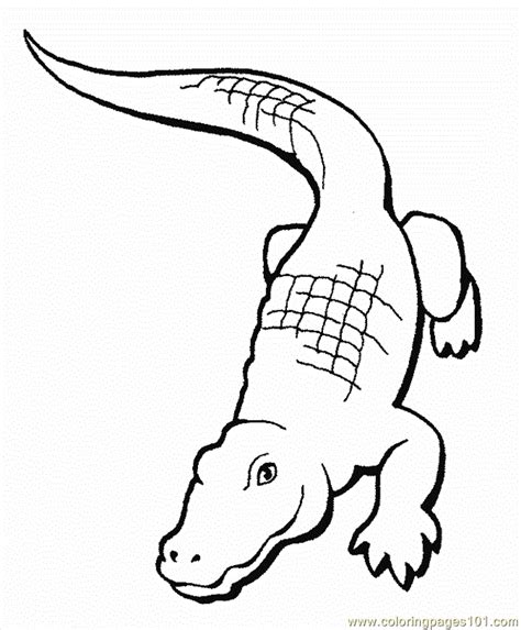 They may look the same but alligators are actually different from crocodiles. Crocodile Aligator Coloring Page 0001 (2) Coloring Page ...