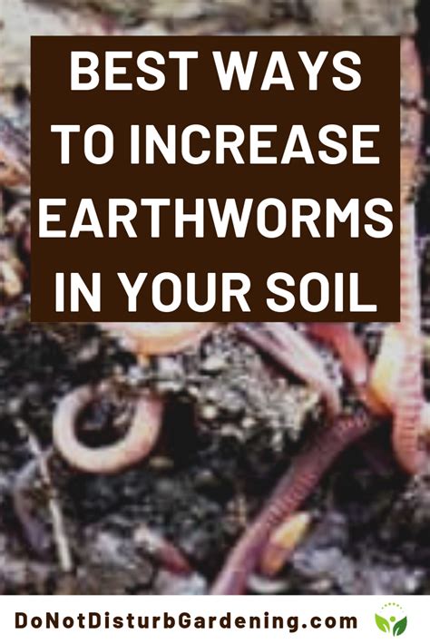 How And Why You Should Increase Earthworms In Your Soil Do Not