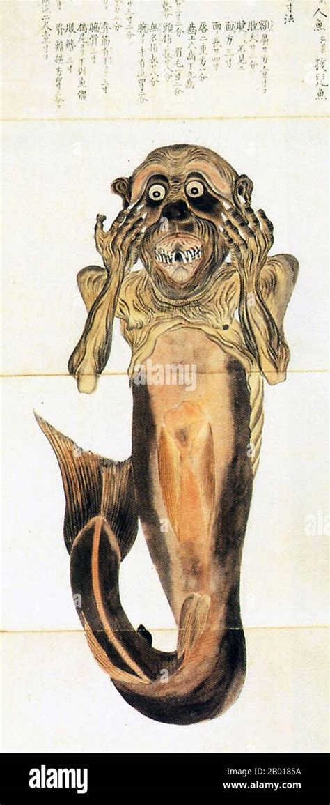 Japan A Ningyo Or Mermaid As Represented By Baien Mouri 1798 1851