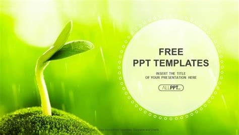 Free Young Plant Sprout Powerpoint Template Designhooks