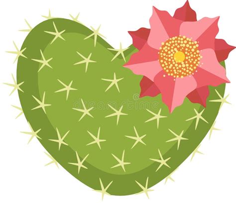 Blossom Of Succulent Cactus Shaped Heart Stock Vector Illustration Of