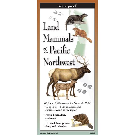 Pacific Northwest Pacific Northwest Field Guides Land Mammals Of