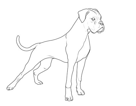 Ausmalbild Hunde: Deutscher Boxer kostenlos ausdrucken
