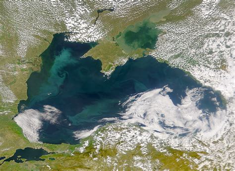 Black Sea In Bloom Image Of The Day