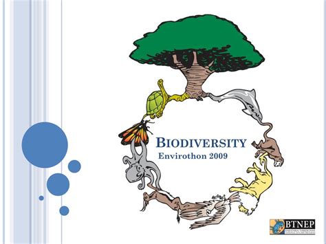 Ppt Biodiversity Powerpoint Presentation Free Download Id3004635