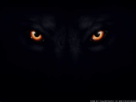 The Eyes Of A Wolf Creepypasta Wiki Fandom Powered By Wikia