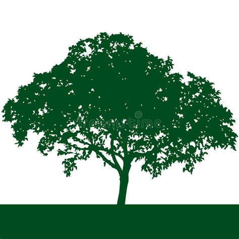 Tree Silhouette Vector Stock Vector Illustration Of Tall 32783117
