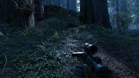 Star Wars Battlefronts Forest Moon Of Endor Looks As Good As The