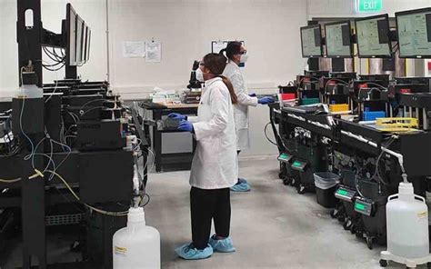 new high tech crv lab to meet sexed semen demand