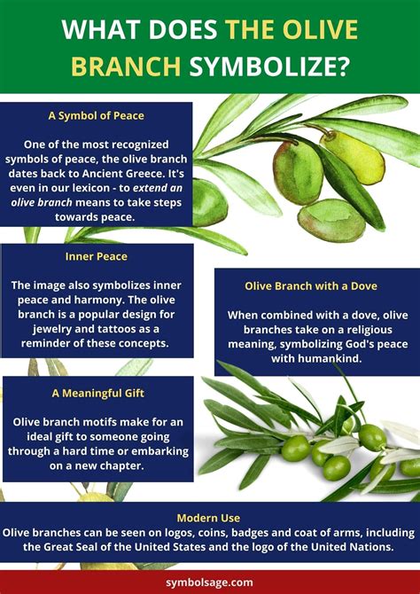 Why Is The Olive Branch A Symbol Of Peace Symbol Sage