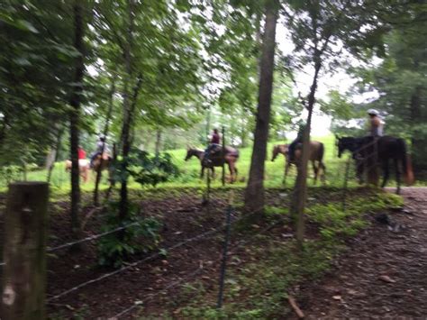 Adventure Trail Rides Blue Ridge All You Need To Know Before You Go