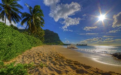 Nature Photography Landscape Beach Sand Palm Trees Shrubs Hills Sea Sunlight Hawaii