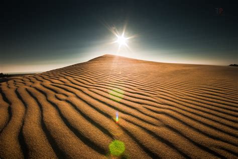 Coast Oregon Landscape Sun Organic Pattern Desert Dune Sand Wallpapers Hd Desktop And