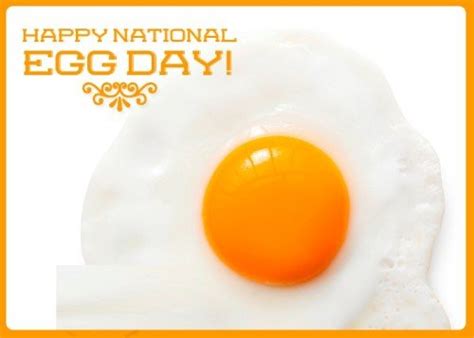World Egg Day Pictures Images