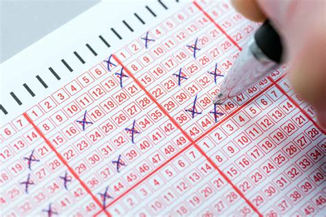 Daily Lotto results: Monday, 15 January 2024 | The Citizen
