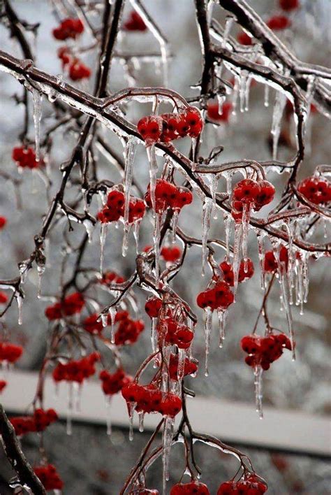 Pin By Hannelore Habicht On Rot ️ Winter Scenery Winter Landscape