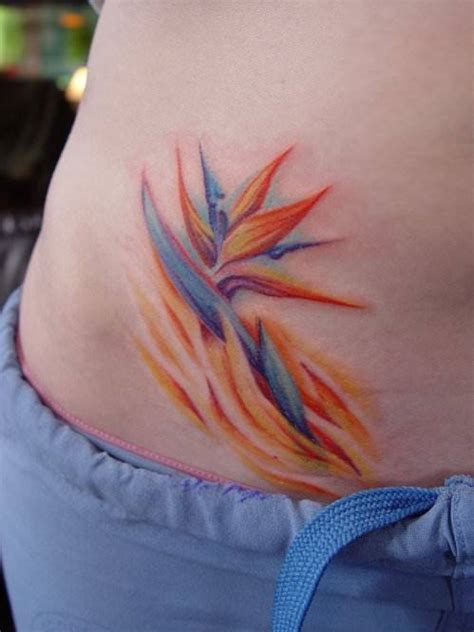 Ideas For Bird Of Paradise Flower Tattoos Ratta Tattoo