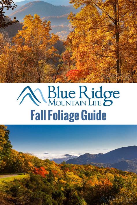 Fall Foliage 2018 Forecast And Guide Via Brmountainlife Fall Travel