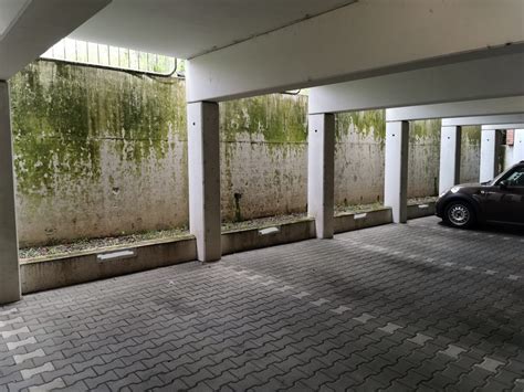 Garagen bauen, garagentor, garagen berlin, garagen mieten, garagen schwingtor, garagen preise, garagen rolltor, garagen kaufen, garagen sektionaltor, garagen klaus, garage, zapf garagen, zapf. Betonwände in Tiergarage gereinigt (Zeitraffervideo ...