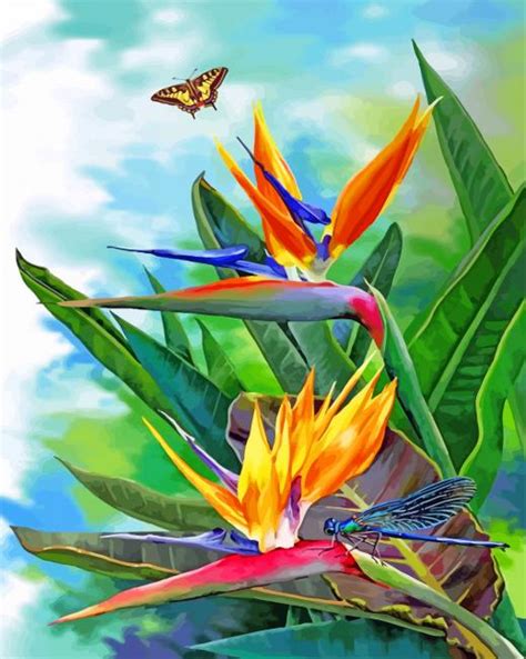 Bird Of Paradise And Butterfly Paint By Numbers Numeral Paint Kit