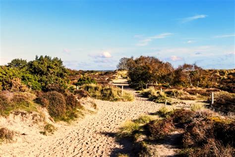 Knoll Beach Beaches And Islands Studland Dorset