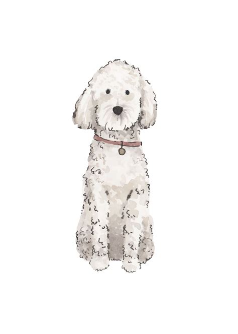 Mini golden doodle puppy | my little luna, the one who inspires my designs through love! White Doodle 5x7.jpg | Goldendoodle art, Dog sketch