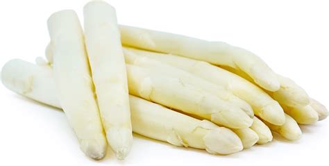White Asparagus Information Recipes And Facts