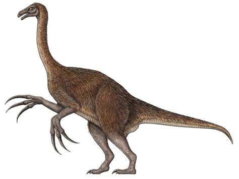 6 Awesome Dinosaur Species You Should Know