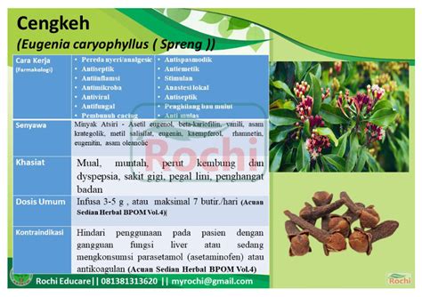 Farmakognosi Dan Farmakologi Tanaman Obat Indonesia Pertanyaan And Jawaban Untuk Kuis Dan Tes