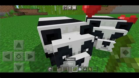 How To Breed Pandas In Minecraft 118 🐼 Game Master 360 Game Master Minecraft 1 Minecraft