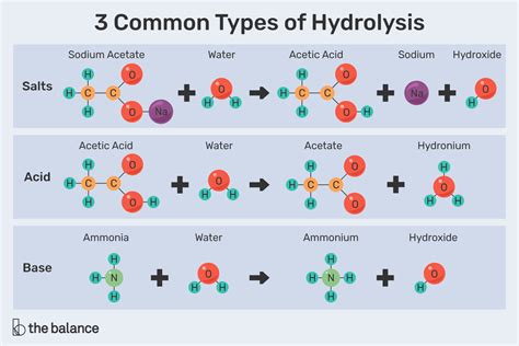 An Explanation Of The Process Hydrolysis