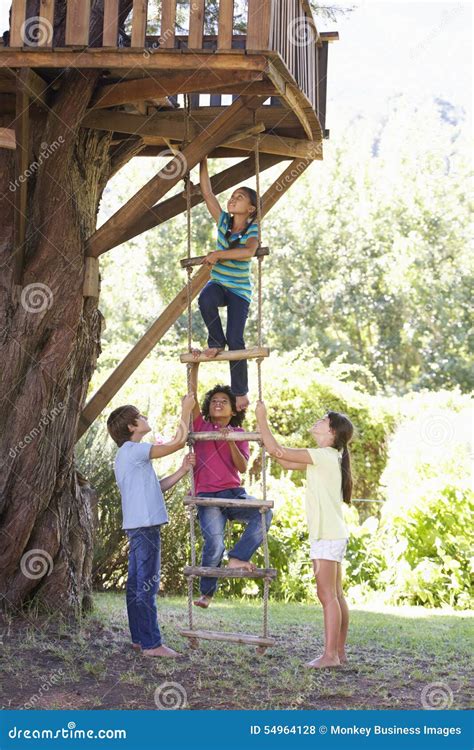 Group Of Children Climbing Rope Ladder To Treehouse Stock Photo Image