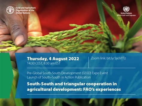 Publication Launch South South And Triangular Cooperation In