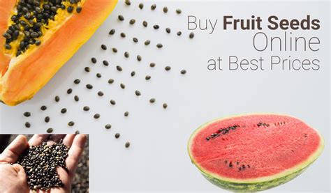 Best 5 Fruit Seeds For Kerala Live Kerala