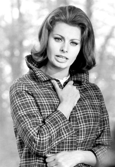 Sophia Loren 1962 Old Hollywood Stars Hollywood Actor Classic