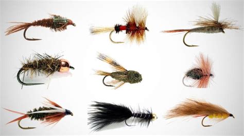 Top Trout Fishing Flies For Hawkes Bay River Fishing Nz