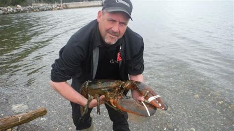 15 Pound Lobster Gets New Lease On Life Thanks To Corner Brook Grocery