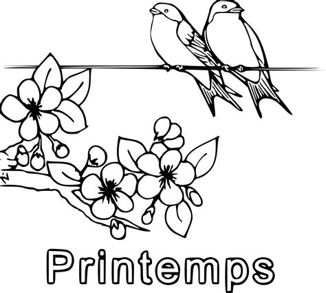 Coloriage Oiseau Printemps à Imprimer