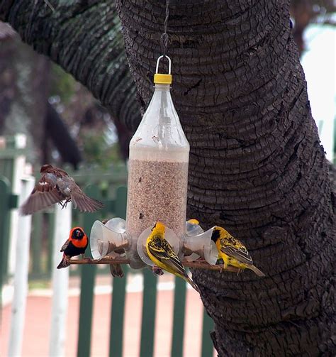 Comment Faire Une Mangeoire à Oiseaux Avec Une Bouteille Plastique