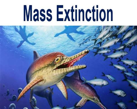 Ocean Acidification Caused Mass Extinction Of Life 252 Million Years