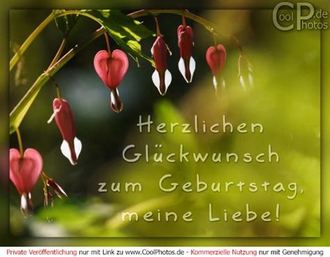 CoolPhotos.de - Herzlichen Glückwunsch zum Geburtstag, meine Liebe!