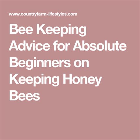 Bee Keeping Advice For Absolute Beginners On Keeping Honey Bees Bee